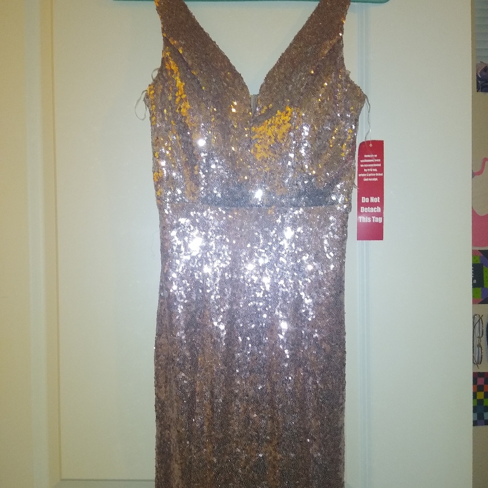 Rose Gold Dress
